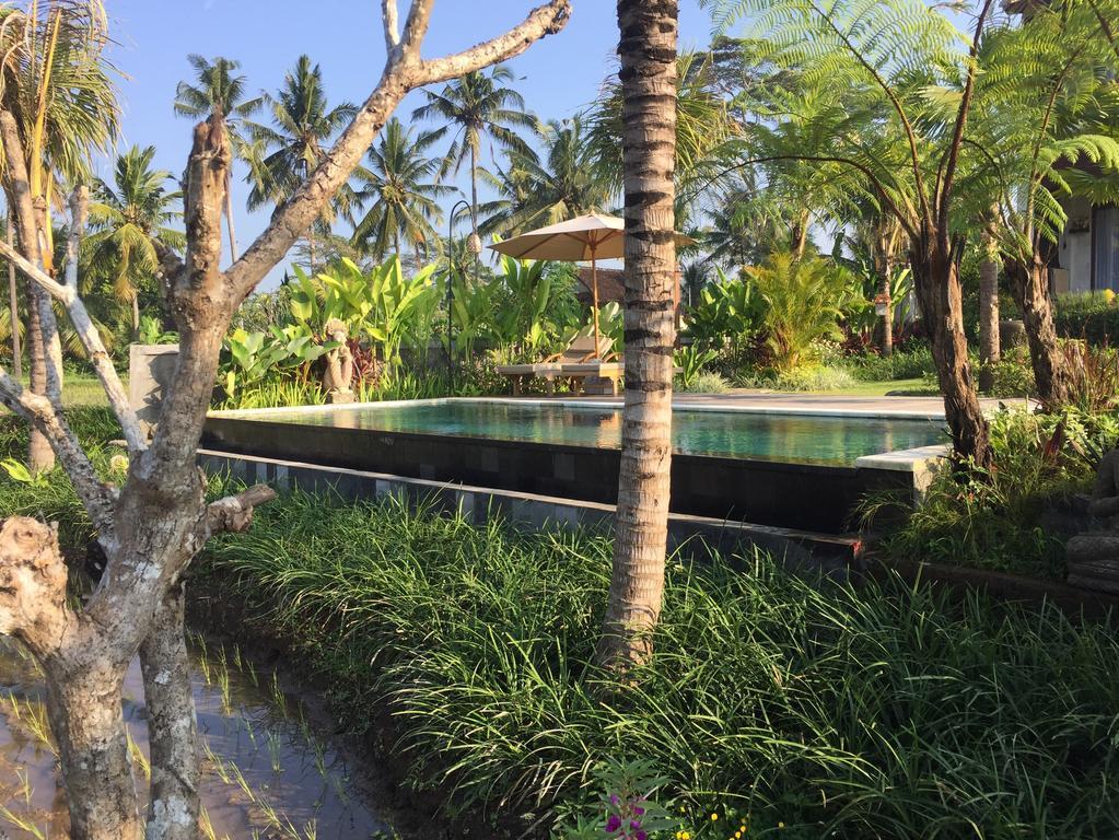 The Suris Ubud Εξωτερικό φωτογραφία
