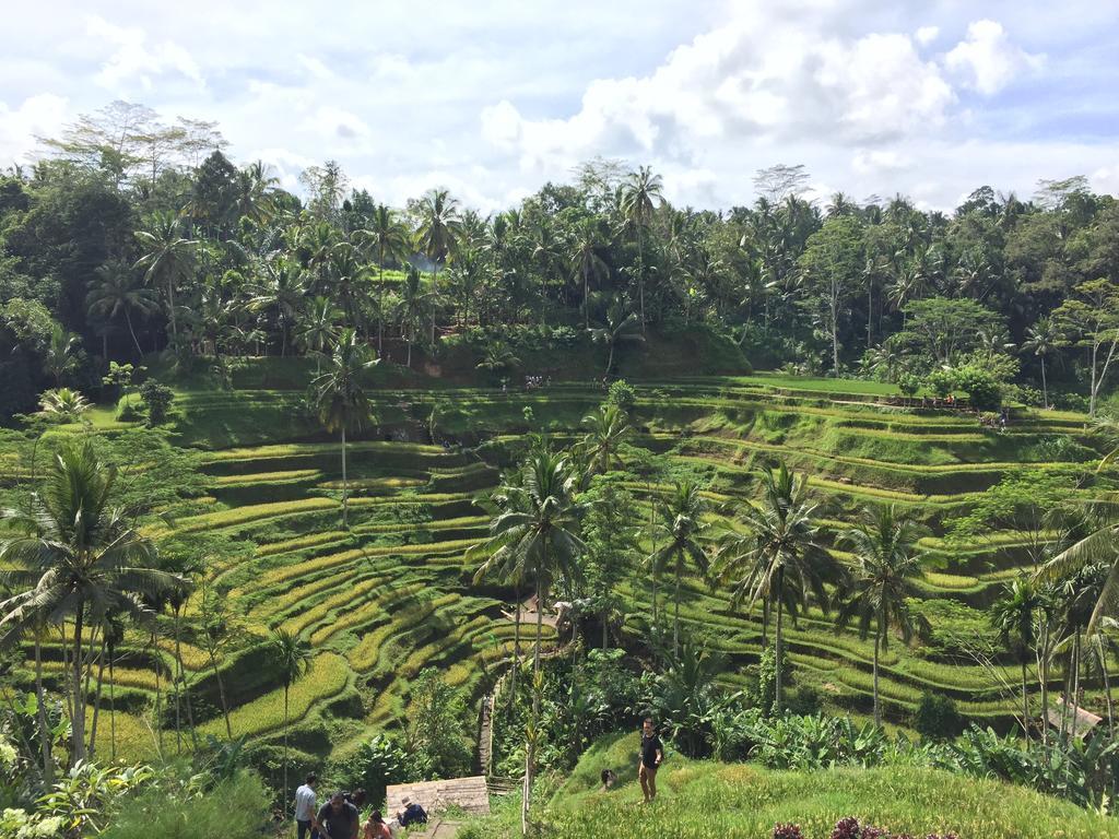 The Suris Ubud Εξωτερικό φωτογραφία