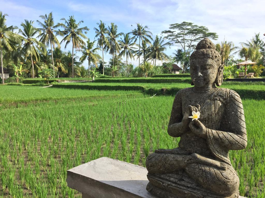 The Suris Ubud Εξωτερικό φωτογραφία